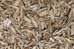 biomass boilers Moore